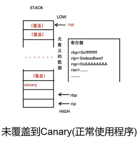 正常的canary
