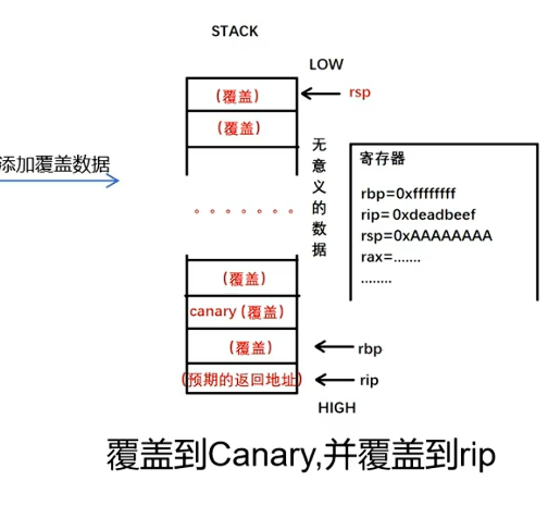 被覆盖的canary